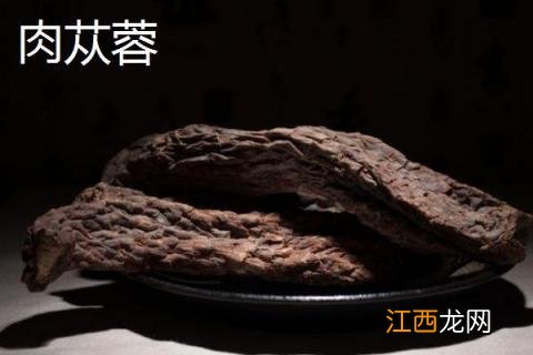 油苁蓉和肉苁蓉的区别是什么图片 油苁蓉和肉苁蓉的区别是什么