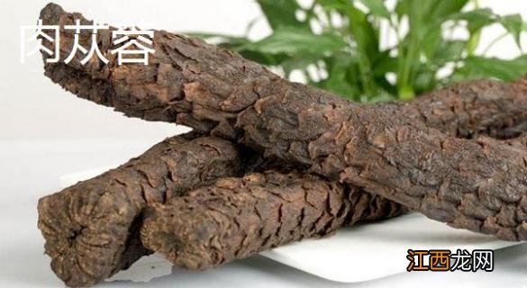 酒苁蓉能取代肉苁蓉吗 酒苁蓉和肉苁蓉药用价值哪个好