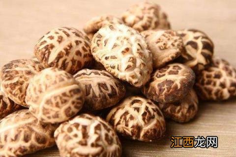 花菇产地在哪里 花菇的产地是哪里最好