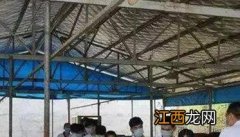 土法良方防治牛病 土法治疗畜病的一些小方法、小偏方