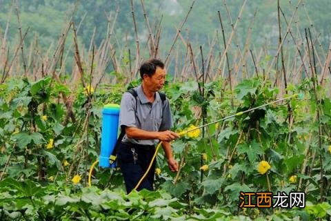 除草剂种类有哪几种 除草剂种类有哪几种类型