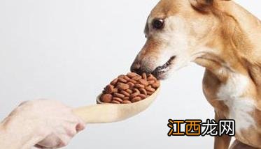 养犬什么叫‘六定’，怎样做到‘六定’