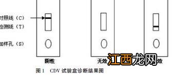 一例犬瘟热的诊断与治疗过程 犬瘟热的病例及治疗