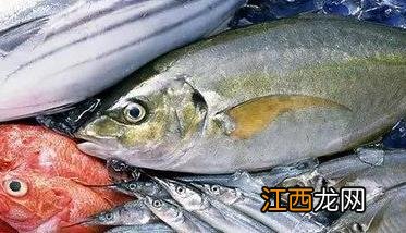 目前水产品保鲜新技术主要包括哪些方面