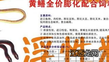 养殖黄鳝吃什么饲料,黄鳝的饲料有哪些