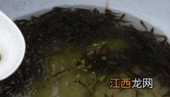 泥鳅苗种快速培育法 泥鳅苗养殖技术步骤