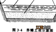 黄鳝养殖池怎样建造 黄鳝养殖池怎样建造视频