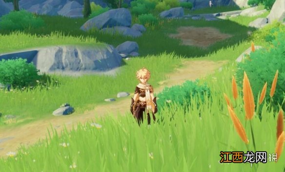 原神新深渊10-1怎么过第二关 原神新深渊10-1怎么过