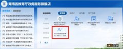 湖南省教育厅政务服务旗舰店官网怎么查教资成绩分数？