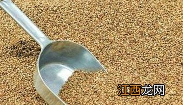 小麦用磷硼混合液浸种为什么能增产,怎样浸种