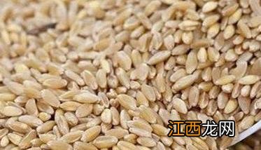 小麦种子怎么种：小麦种子播种前的处理方法