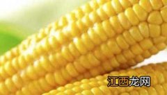 玉米的营养价值及功效作用 玉米的营养价值与食用功效