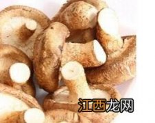 鲜香菇的保存方法 鲜香菇的保存方法视频