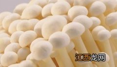 金针菇的营养价值与功效作用 金针菇的营养价值与功效