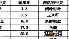 竹林提早出竹笋促成栽培要点 竹子出笋期间要注意什么