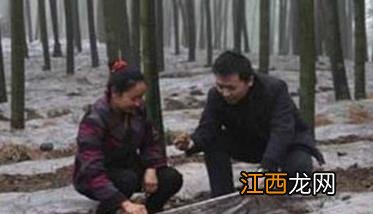 如何种植竹荪 如何种植竹荪