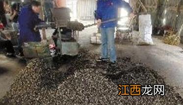 平菇培养料的构成 平菇培养料的构成包括