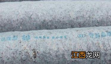 种香菇有什么品种好 种植香菇的品种要求有哪些