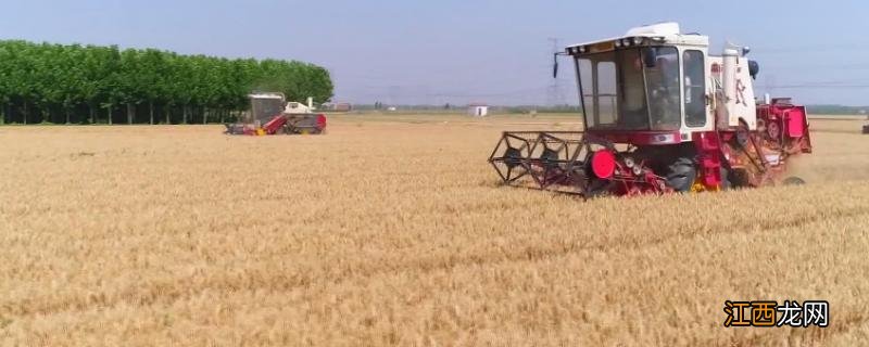 小麦收割机改装玉米收割机需要什么配件,小麦收割机的工作原理