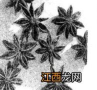 大茴香有哪些作用 大茴香有什么作用