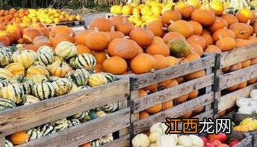 南瓜的种类有哪些 南瓜的种类有哪些名称