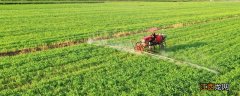 大豆田苗后除草剂最佳配方，什么时候喷洒效果好