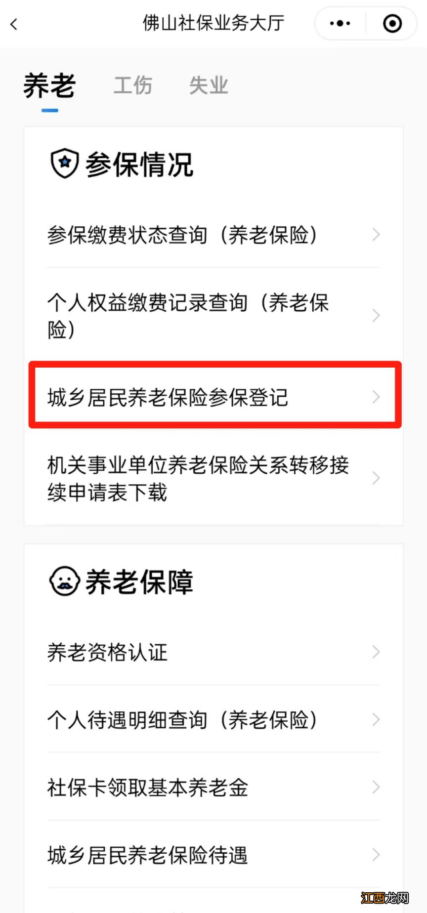 佛山城乡居民养老保险怎么网上参保登记？