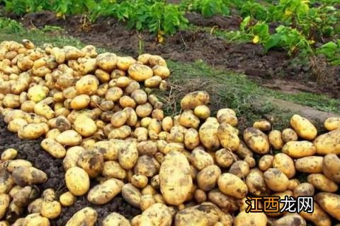 四季农事都有什么 一年四季的农事有什么