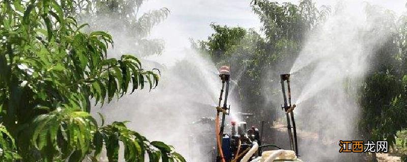 氮肥的作用,天然的氮肥有哪些种类 氮肥的作用,天然的氮肥有哪些