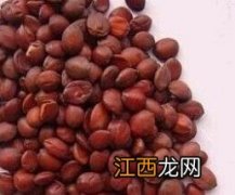 酸枣仁的功效与食用方法及禁忌 酸枣仁的功效与食用方法