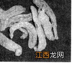 天麻的功效与作用和成分功用 天麻的主要成分及功效