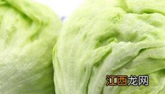 圆生菜的功效与作用 圆生菜的功效与作用、禁忌和食用方法