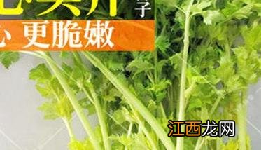 西芹的品种有哪些 西芹的品种有哪些名字