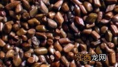 决明子的食用方法 决明子如何食用方法