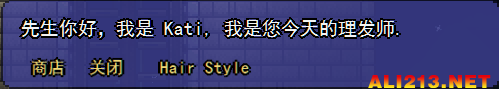 泰拉瑞亚理发师特殊发型 《泰拉瑞亚》理发师详细图文介绍