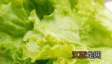 吃生菜的营养价值和功效 吃生菜的营养价值和功效与作用