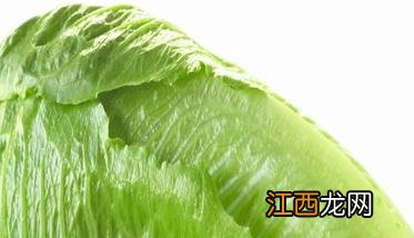 罗马生菜的营养价值 罗马生菜为什么叫罗马生菜