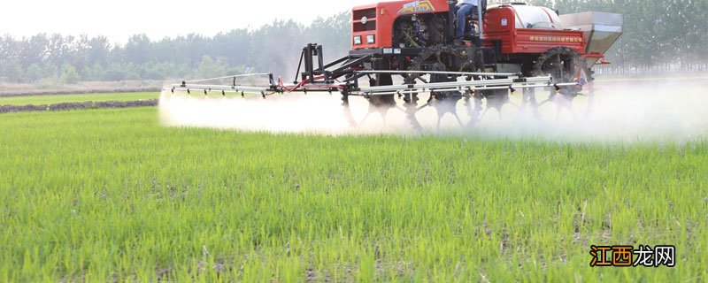 草铵膦的用法与用量 草铵膦的作用及使用注意事项