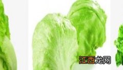 生菜的三种类型是什么 生菜的三种类型