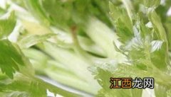 芹菜的做法大全家常炒菜 芹菜的做法大全