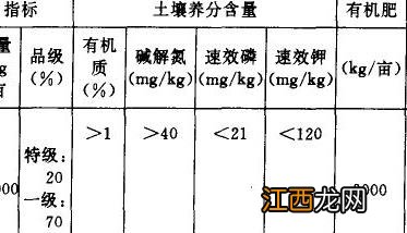 大蒜对氮、磷、钾的总需要量及其比例