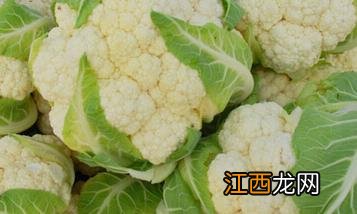 花椰菜施什么肥好呢 花椰菜施什么肥好