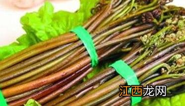 蕨菜的营养价值和功效作用 蕨菜的营养价值