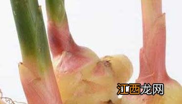 生姜的功效与作用有哪些？ 生姜有什么功效和作用