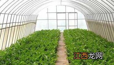 蔬菜大棚如何构建方法与步骤 蔬菜大棚的制作方法