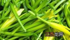 怎样栽培金针菜，金针菜种植方法 金针菜的栽培技术