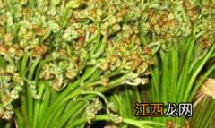 蕨菜有什么营养成分 蕨菜的营养价值有哪些？