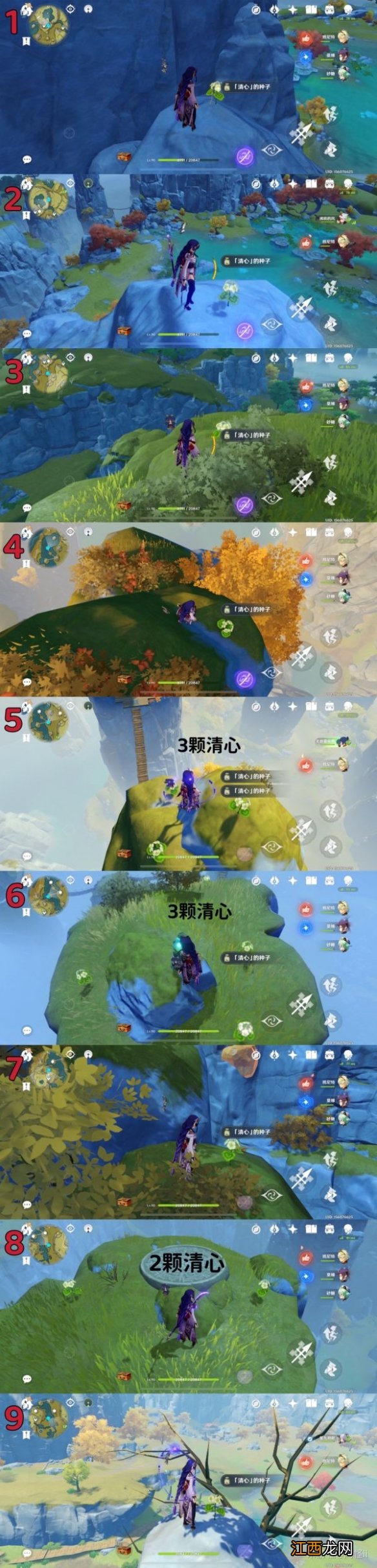 原神清心如何快速收集 原神清心如何快速收集碎片