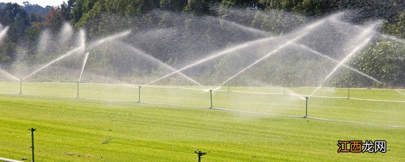 灌溉农业的特点 灌溉技术特点