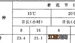 简要说明青花菜的栽培技术 青花菜生长发育特性